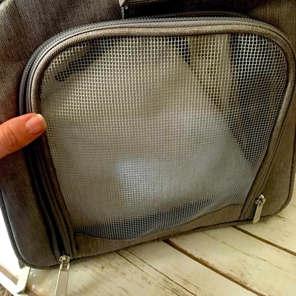Gray Cat Carrier